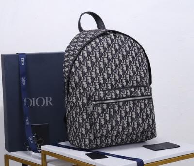 cheap quality Christian Dior backpack Oblique 93328 classic pattern